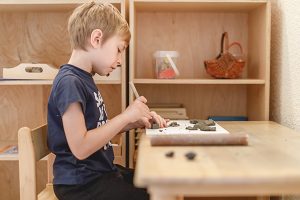 scoala maria montessori din iasi